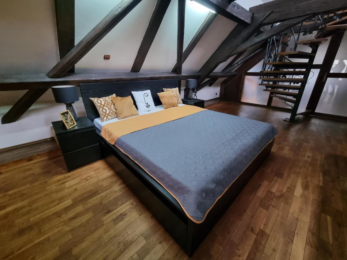 Galerie Vila Lucia 5 -Loft Apartman 플젠 외부 사진