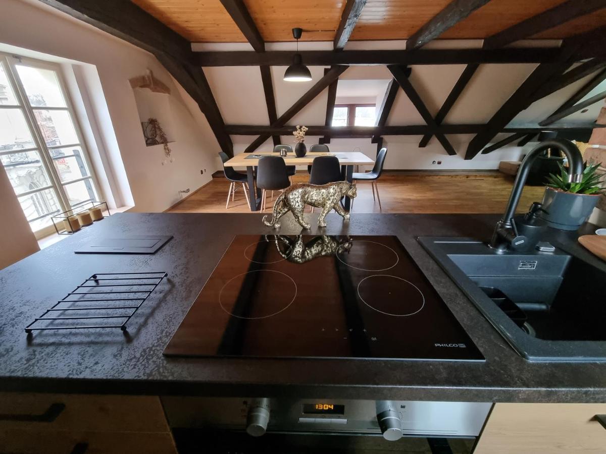 Galerie Vila Lucia 5 -Loft Apartman 플젠 외부 사진