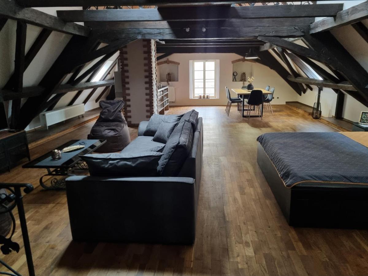 Galerie Vila Lucia 5 -Loft Apartman 플젠 외부 사진