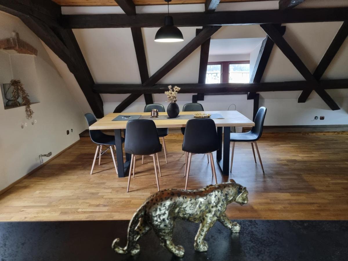 Galerie Vila Lucia 5 -Loft Apartman 플젠 외부 사진