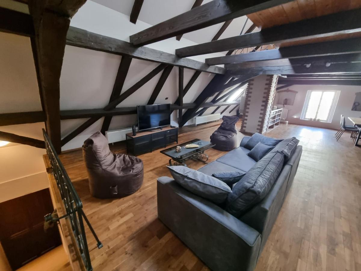 Galerie Vila Lucia 5 -Loft Apartman 플젠 외부 사진