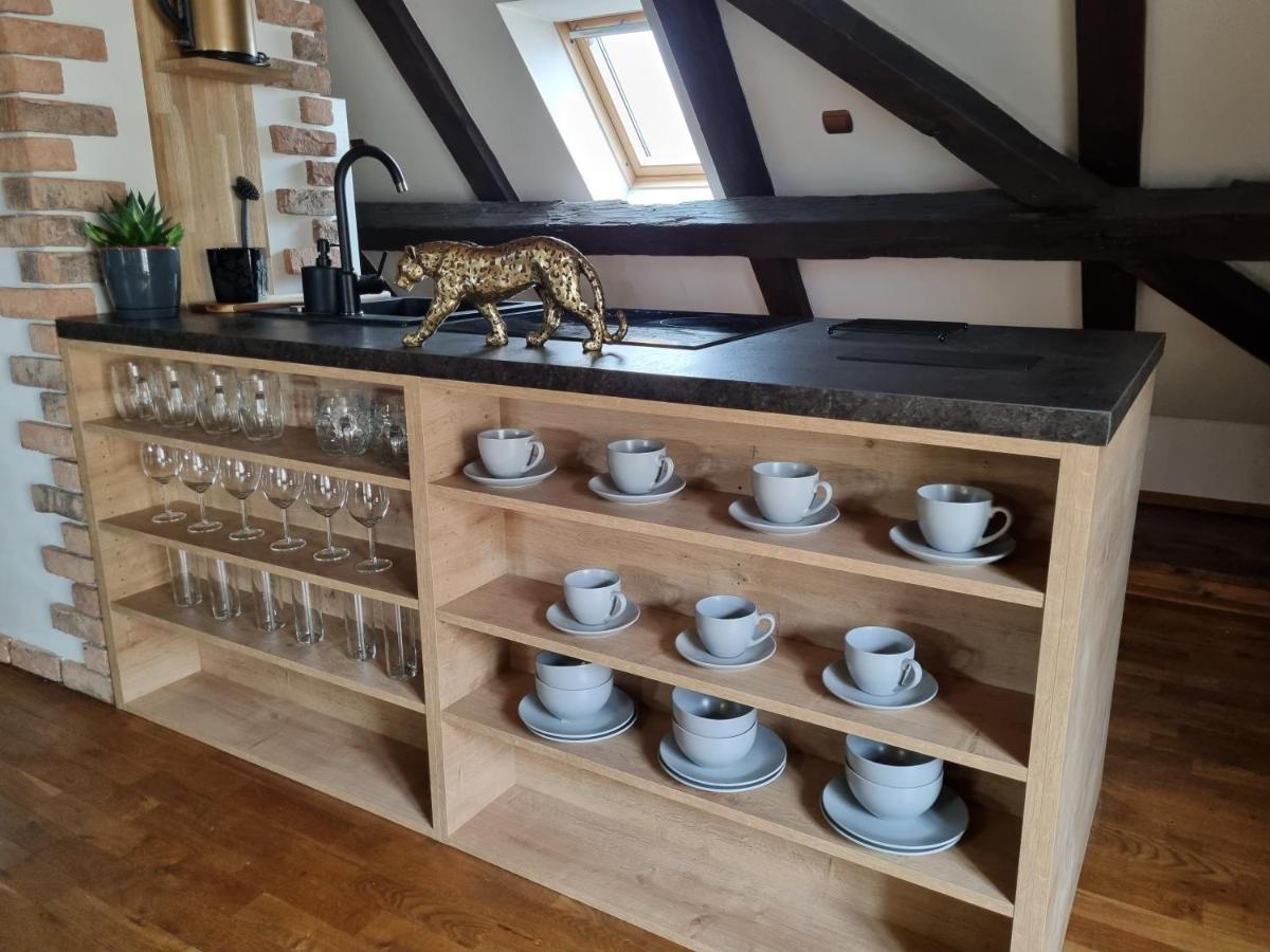 Galerie Vila Lucia 5 -Loft Apartman 플젠 외부 사진