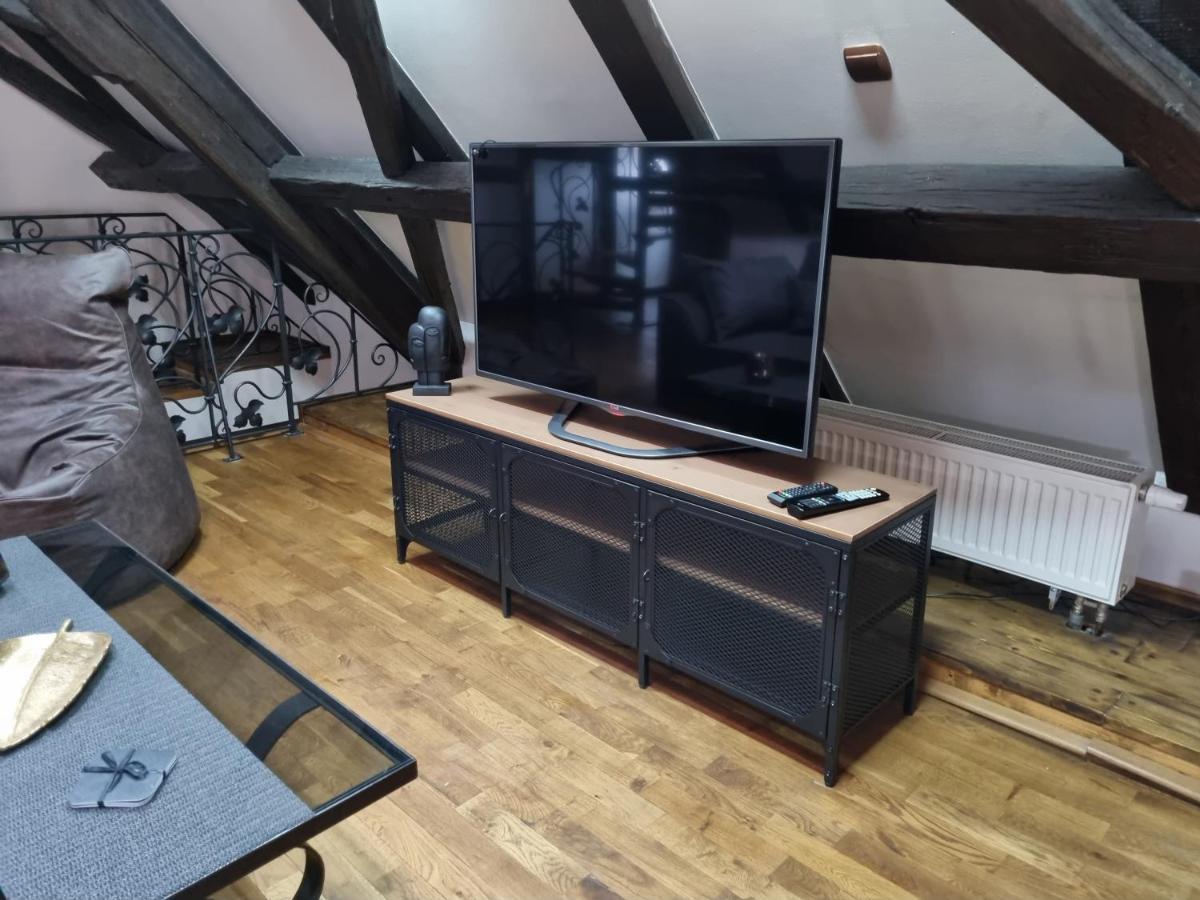 Galerie Vila Lucia 5 -Loft Apartman 플젠 외부 사진