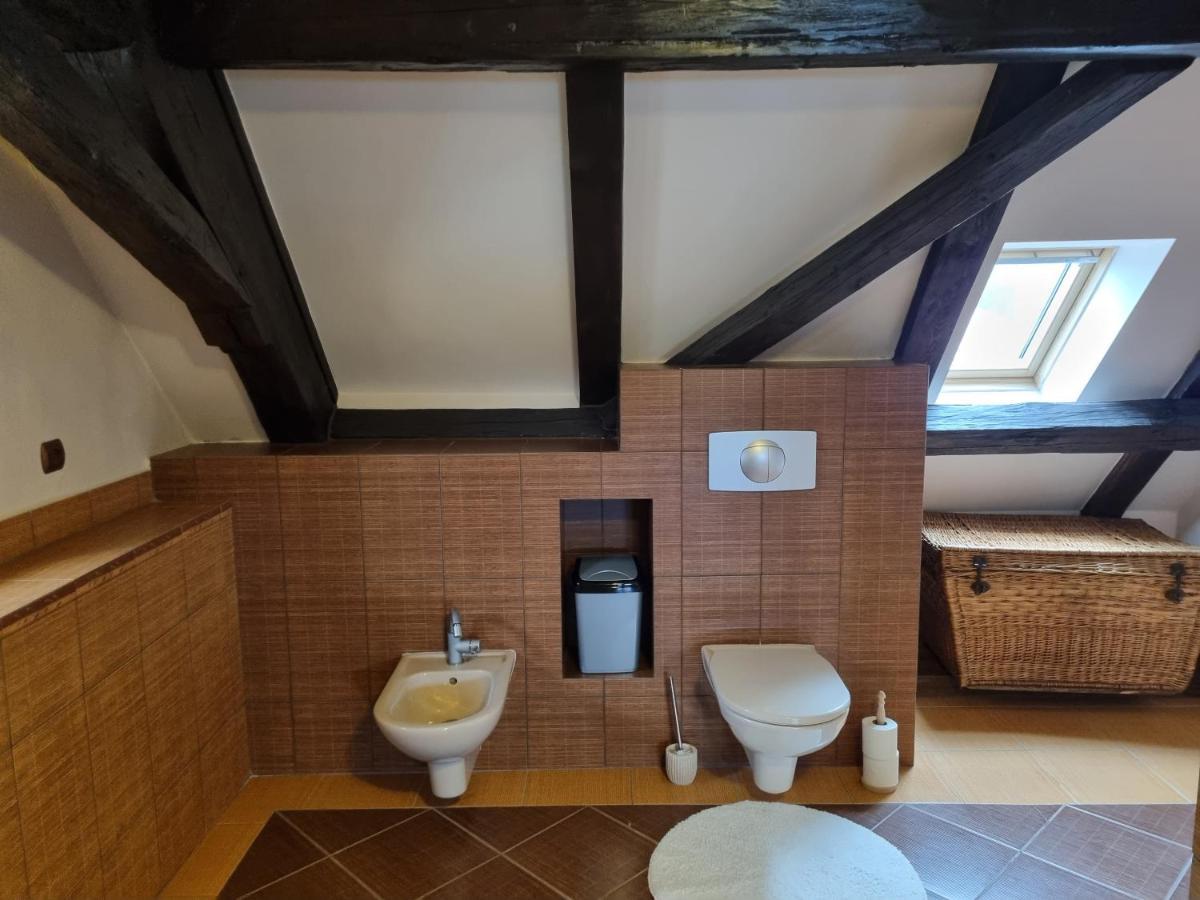 Galerie Vila Lucia 5 -Loft Apartman 플젠 외부 사진