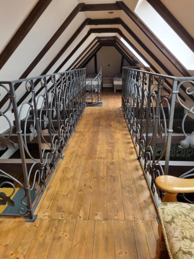 Galerie Vila Lucia 5 -Loft Apartman 플젠 외부 사진